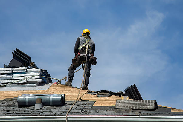 Professional Roof Repair technician working in Naples, UT